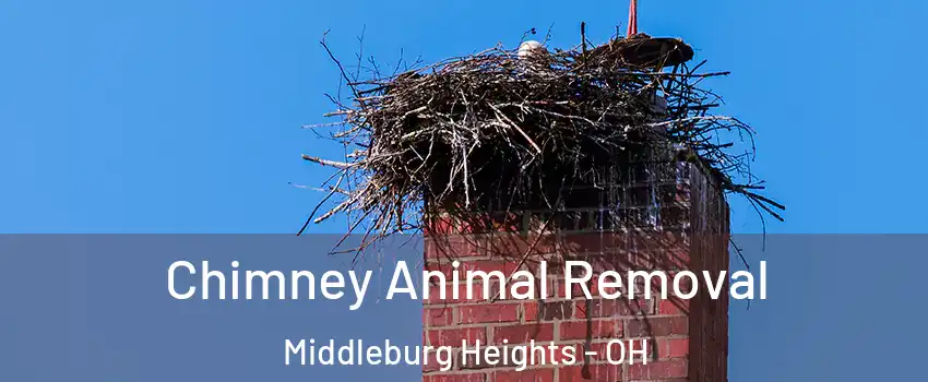  Chimney Animal Removal Middleburg Heights - OH