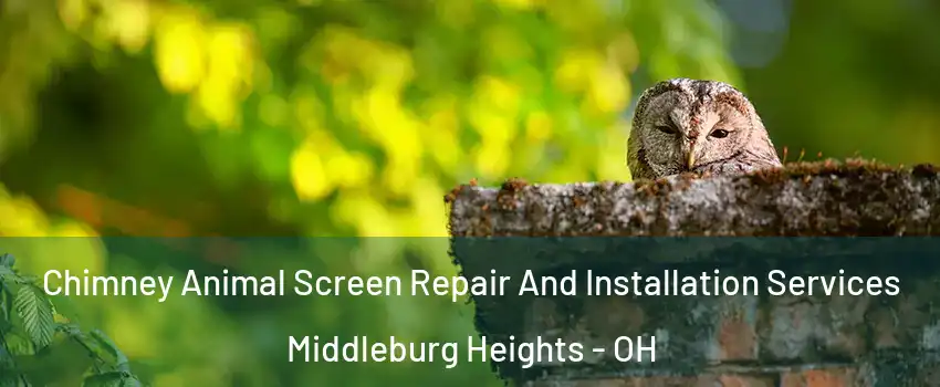  Chimney Animal Screen Repair And Installation Services Middleburg Heights - OH