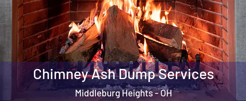  Chimney Ash Dump Services Middleburg Heights - OH