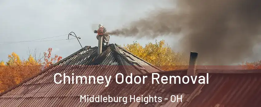  Chimney Odor Removal Middleburg Heights - OH