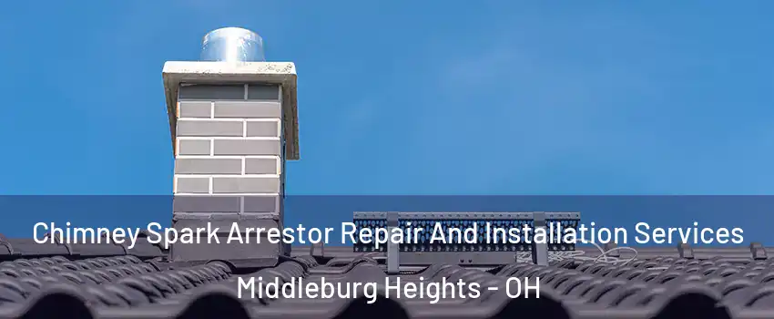  Chimney Spark Arrestor Repair And Installation Services Middleburg Heights - OH
