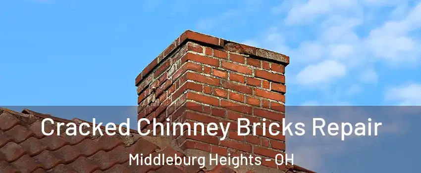  Cracked Chimney Bricks Repair Middleburg Heights - OH