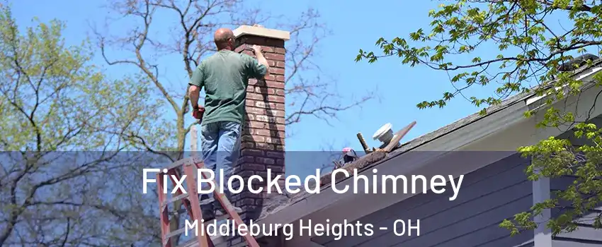  Fix Blocked Chimney Middleburg Heights - OH