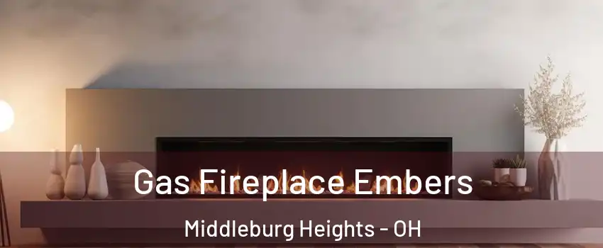  Gas Fireplace Embers Middleburg Heights - OH