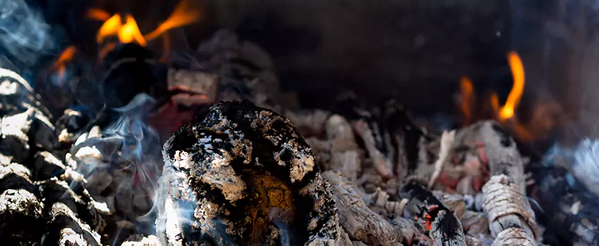 Creosote Removal Experts in Middleburg Heights, OH