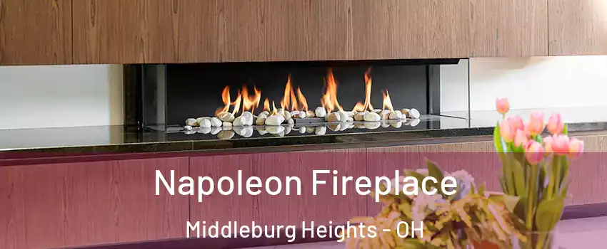  Napoleon Fireplace Middleburg Heights - OH