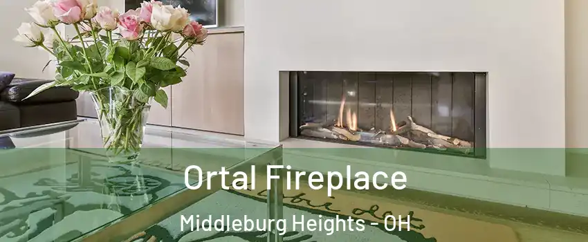  Ortal Fireplace Middleburg Heights - OH
