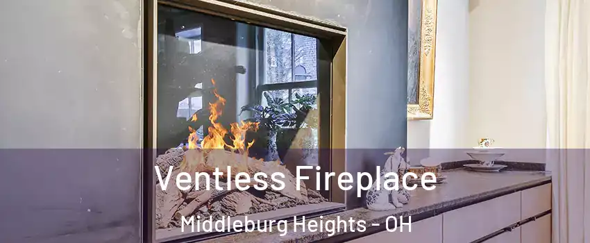  Ventless Fireplace Middleburg Heights - OH